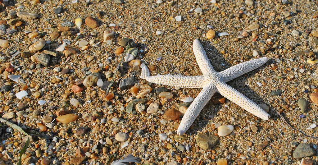 Angelbay Bungalows Agia Triada  Zewnętrze zdjęcie